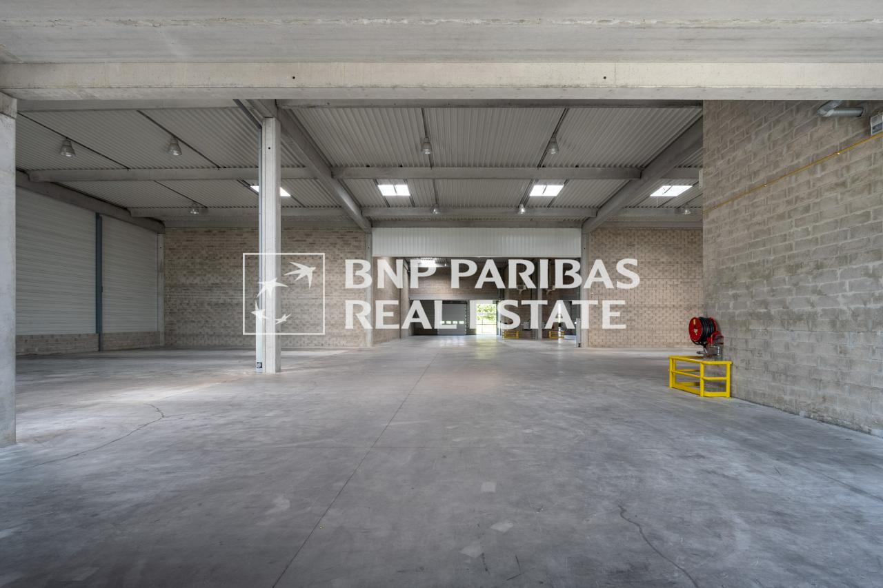 Local d'activité Élancourt 534m² Location local d'activité Élancourt Yvelines OLACT2318123 9